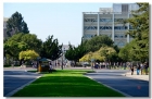 【走过校园】绿色覆盖的加州大学伯克利分校