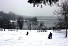 2013年冬纽约的第三场雪早上（为虎妞重贴）