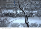 【沈阳游】雪系列：下雪了!