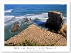 【随意随拍】新西兰北岛行 - 鸟岛初探 (Muriwai Beach)